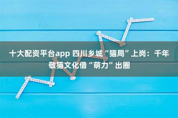 十大配资平台app 四川乡城“猫局”上岗：千年敬猫文化借“萌力”出圈