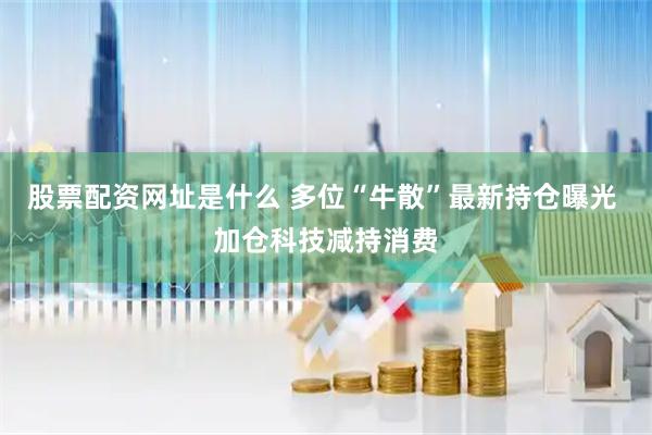股票配资网址是什么 多位“牛散”最新持仓曝光 加仓科技减持消费